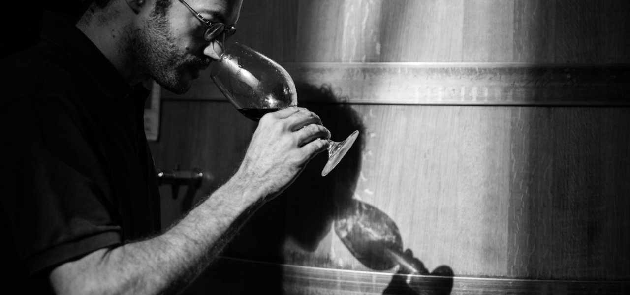 bespoke wine tours catalonia - Wine Paths